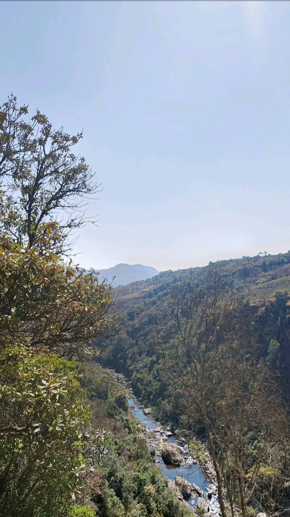 ai character: Freedom  background