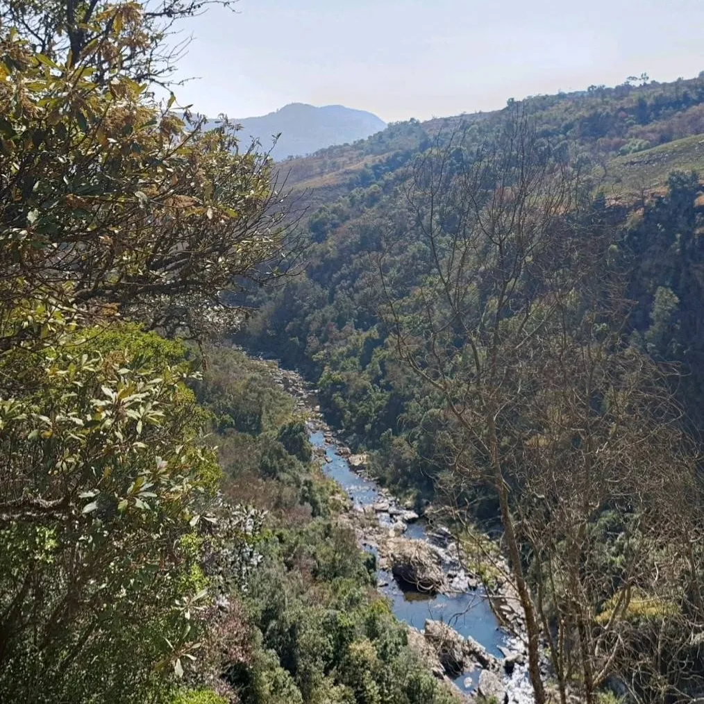 chat with ai character: Freedom 