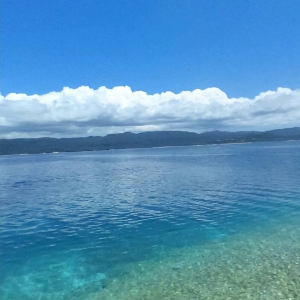 chat with ai character: Freedom 