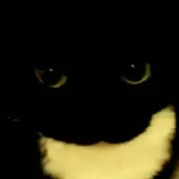 chat with ai character: quinto y noob