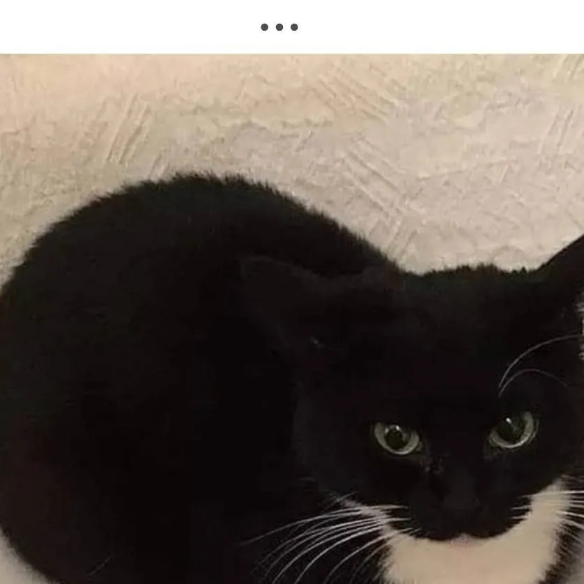 chat with ai character: mafioso restaurant