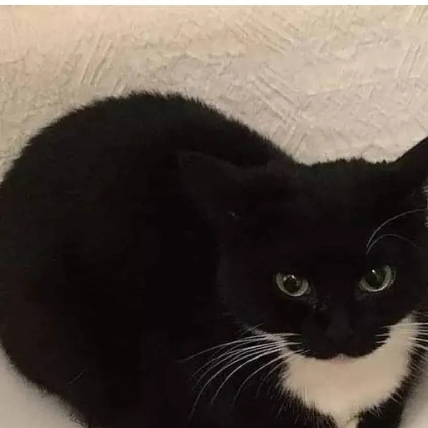 chat with ai character: jardrek