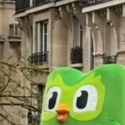 chat with ai character: Duolingo