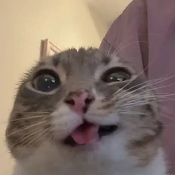 chat with ai character: Pedidos! (volvi)