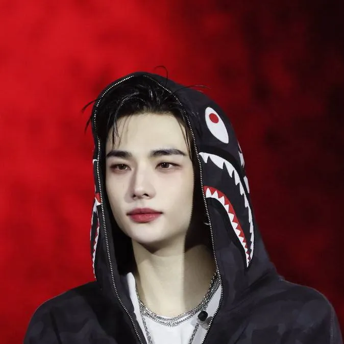 chat with ai character: ❤️ Hyunjin ❤️