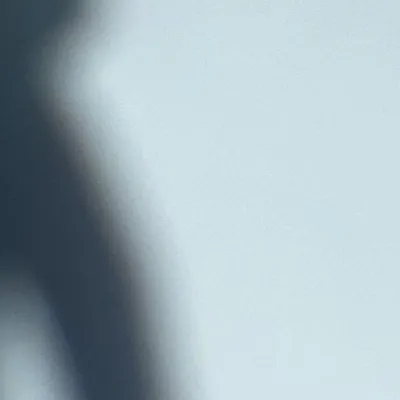 chat with ai character: Purple