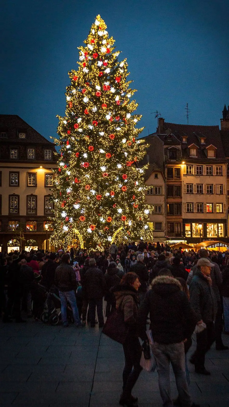 Talkie AI - Chat with un Noël magique 