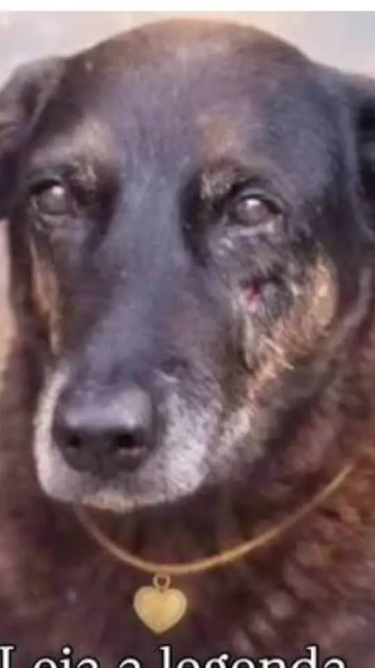 ai character: creepypastas background