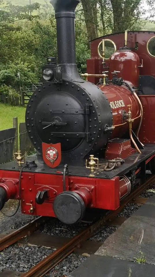 ai character: dolgoch background