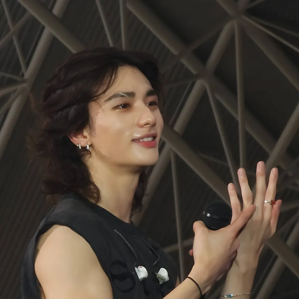 chat with ai character: Hwan Hyunjin 