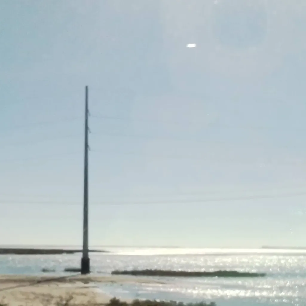 chat with ai character: todd you