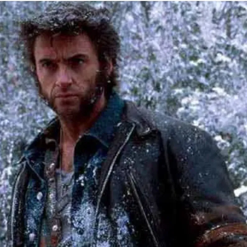 chat with ai character: Logan howlett