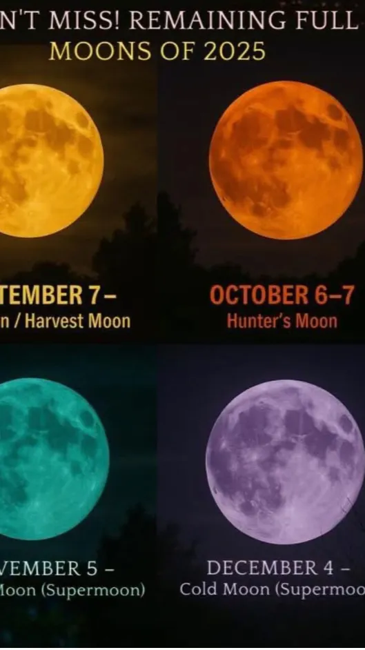 ai character: Homework help 📚 background