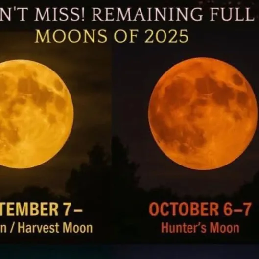 chat with ai character: Homework help 📚