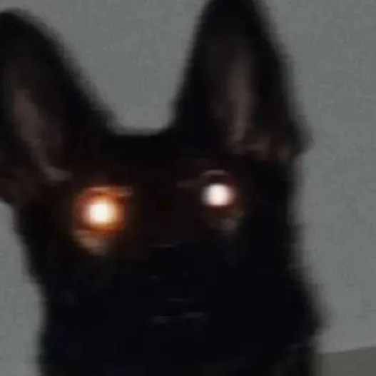 chat with ai character: German shepherd 
