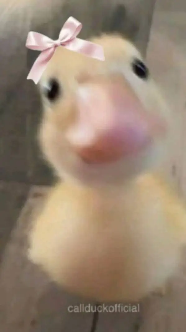 ai character: pato background