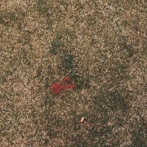 chat with ai character: group