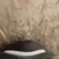 chat with ai character: Grupka Roblox