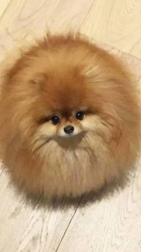 ai character: Grupa Roblox 2 background