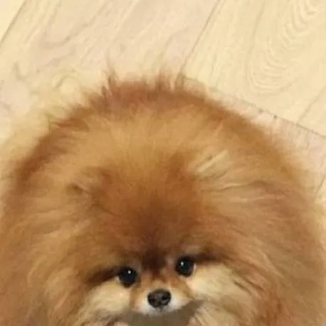 chat with ai character: Grupa Roblox 2