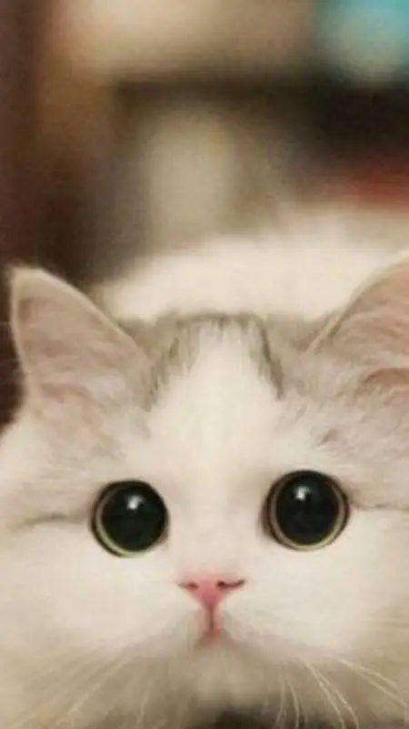 ai character: Grupa Roblox 3 background