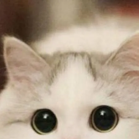 chat with ai character: Grupa Roblox 3