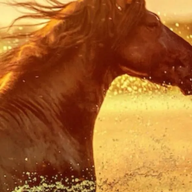 chat with ai character: free rein 