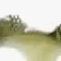chat with ai character: gloombats 