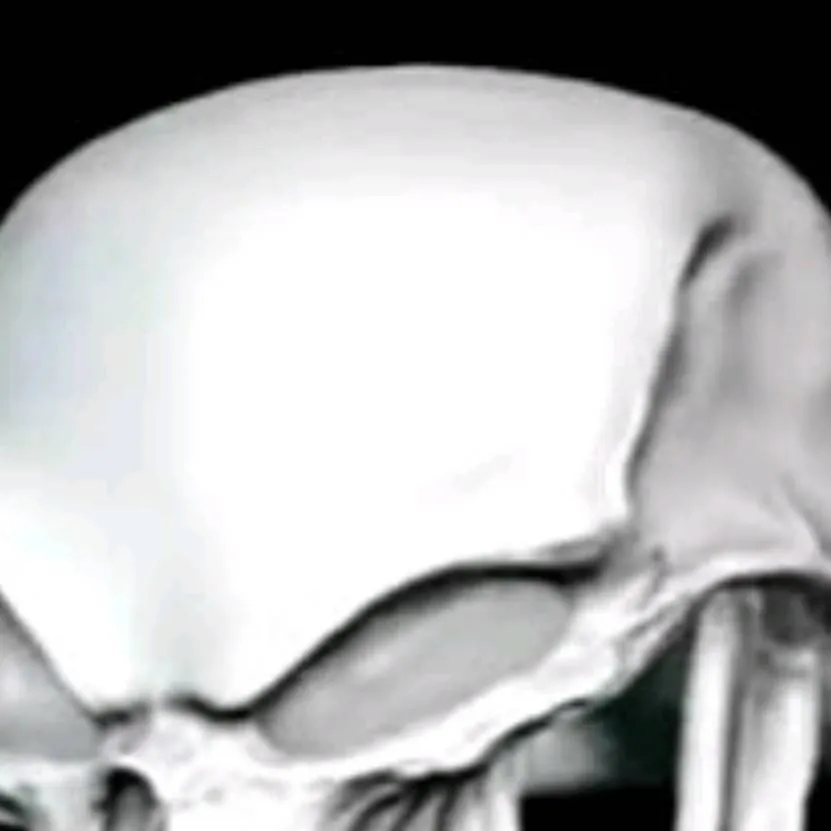 chat with ai character: venezolano 