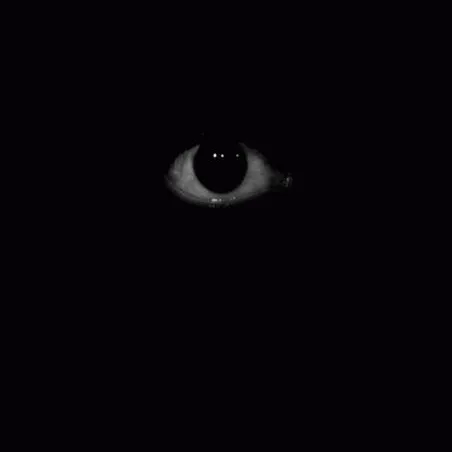 chat with ai character: horror