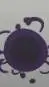 ai character: Baby Shapley  background