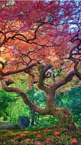 ai character: FPE camping background