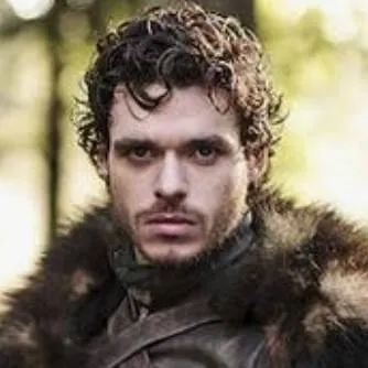 chat with ai character: Robb Stark