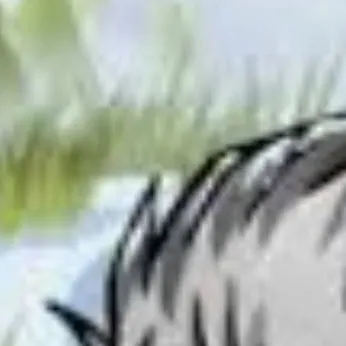 chat with ai character: Spearos