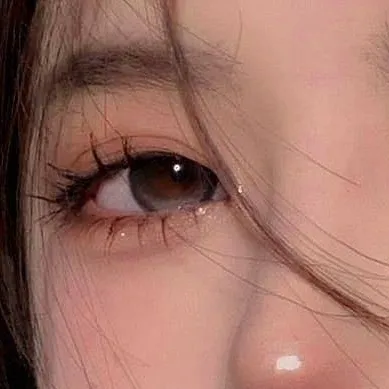 chat with ai character: ONE PIECE solo elo