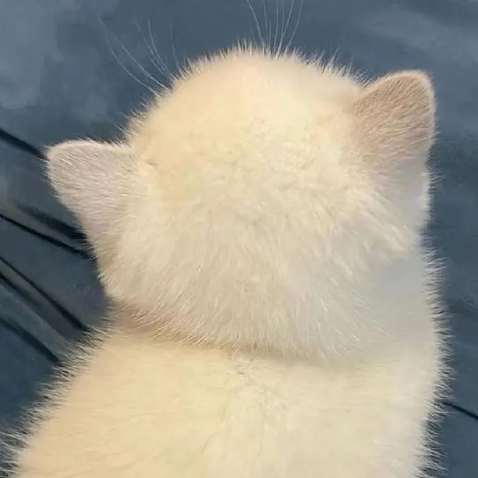 chat with ai character: dekuuuuuu