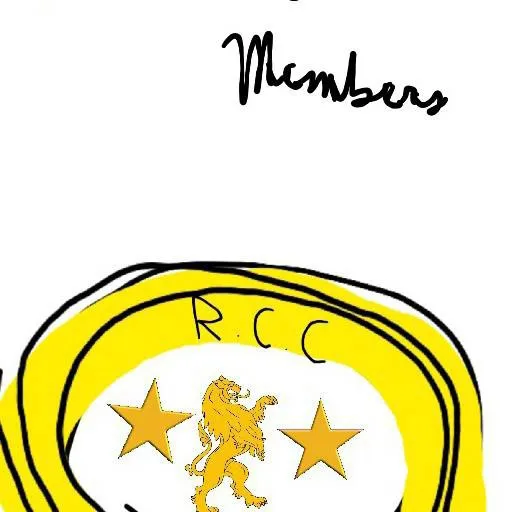 chat with ai character: COUNTRYBALL OC ACE