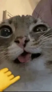 ai character: GRADE 3 STUDENTS 2 background