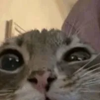 chat with ai character: GRADE 3 STUDENTS 2