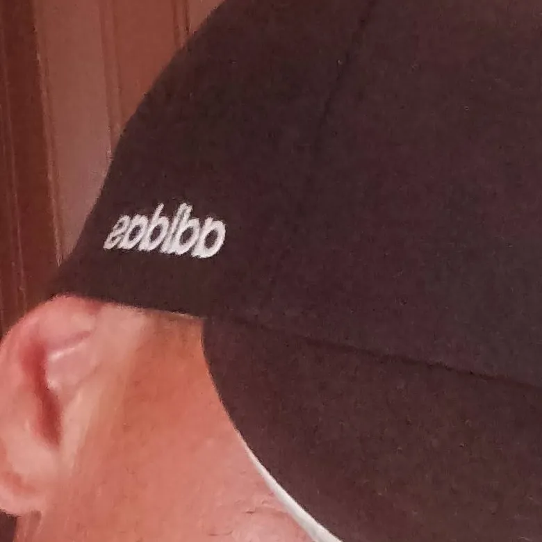 chat with ai character: alfa