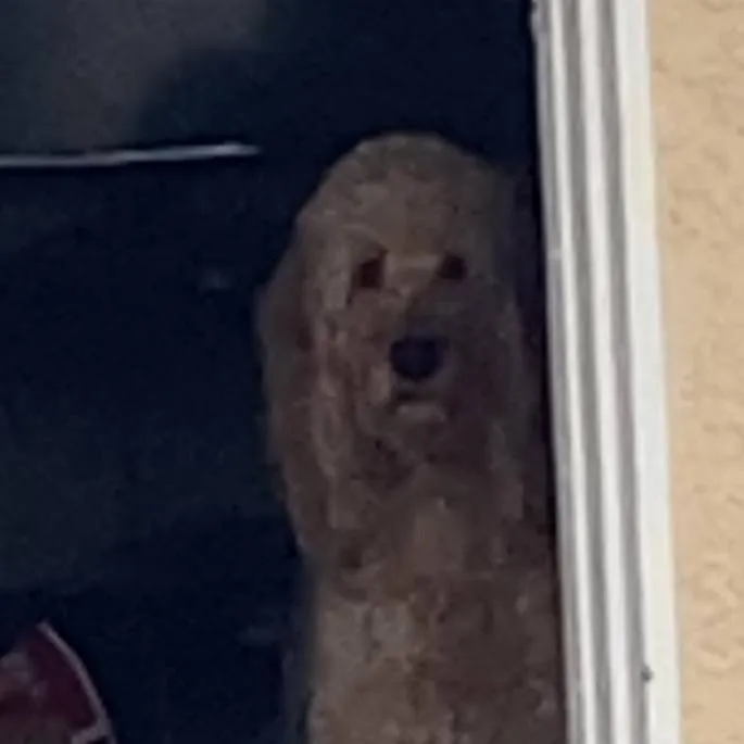 chat with ai character: H3LP M3 