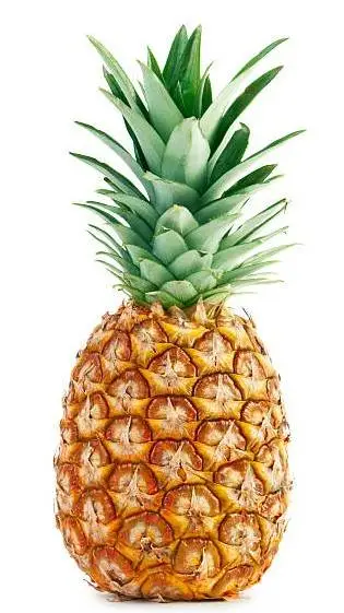 ai character: pineapple background