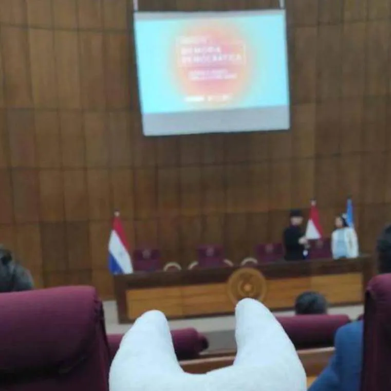 chat with ai character: hornet