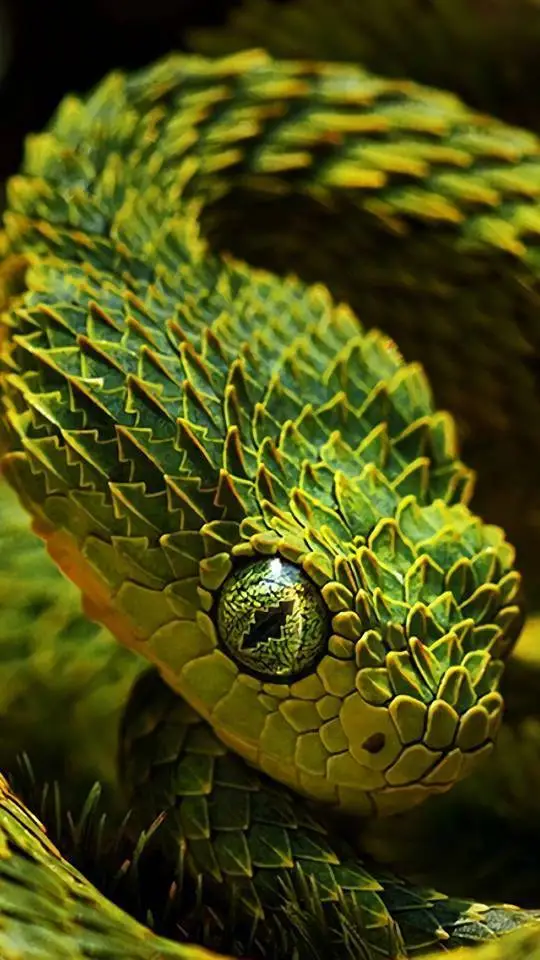 ai character: dragon snake background