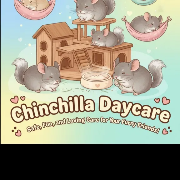 chat with ai character: Chinchilla daycare