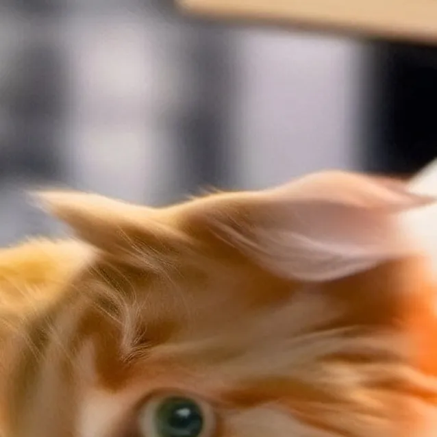 chat with ai character: a Cat :3 (ig)