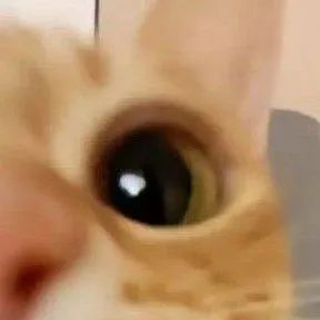 chat with ai character: Gato :3