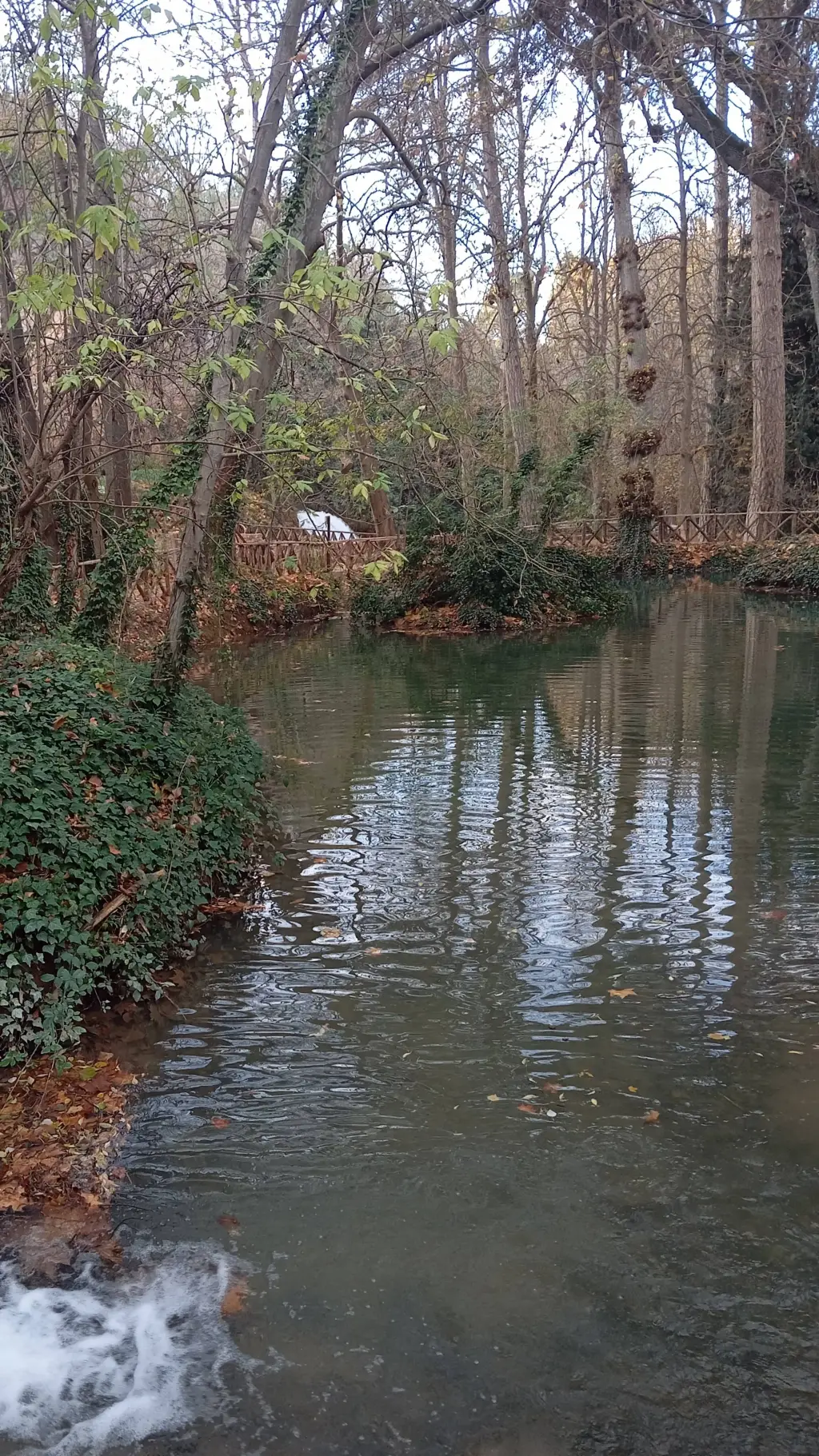 ai character: mha río  background