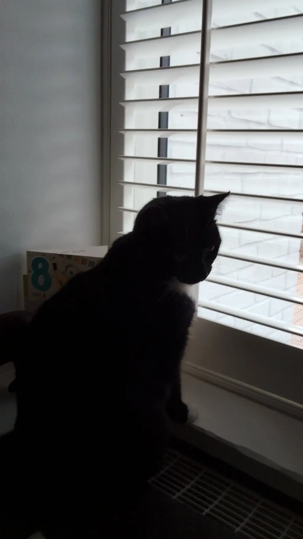 ai character: Ur cat background