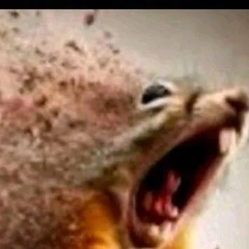 chat with ai character: bigbob123